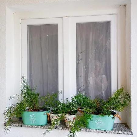 Apartmani Joja Biograd Na Moru Exteriör bild